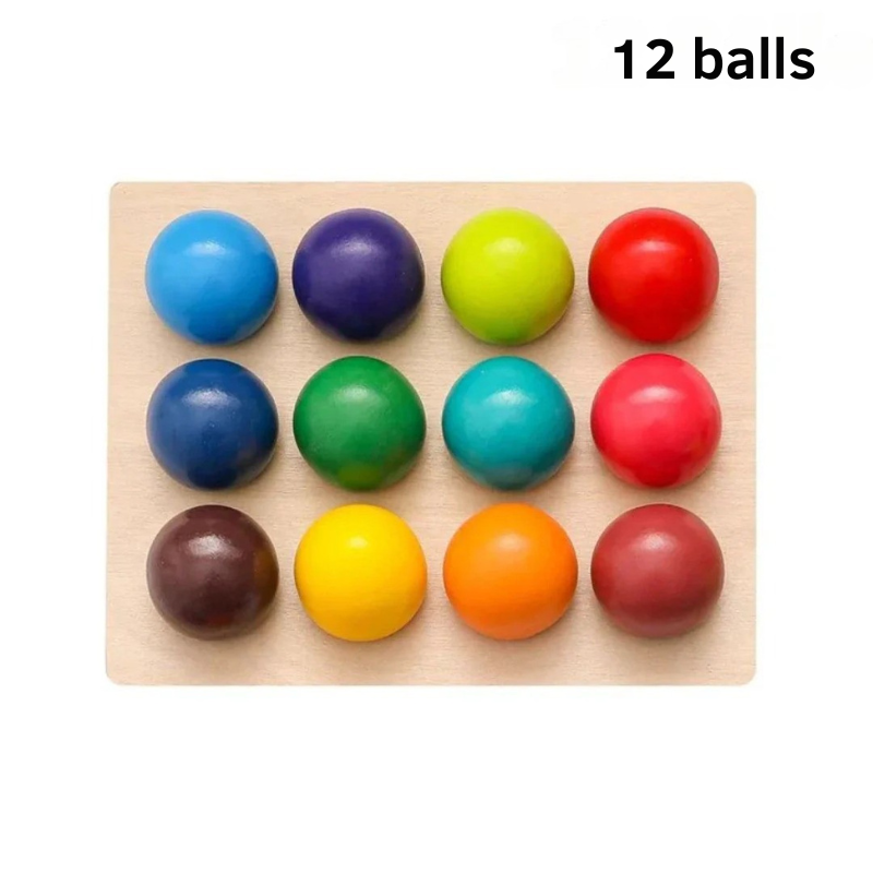 Sorting fun for little learners