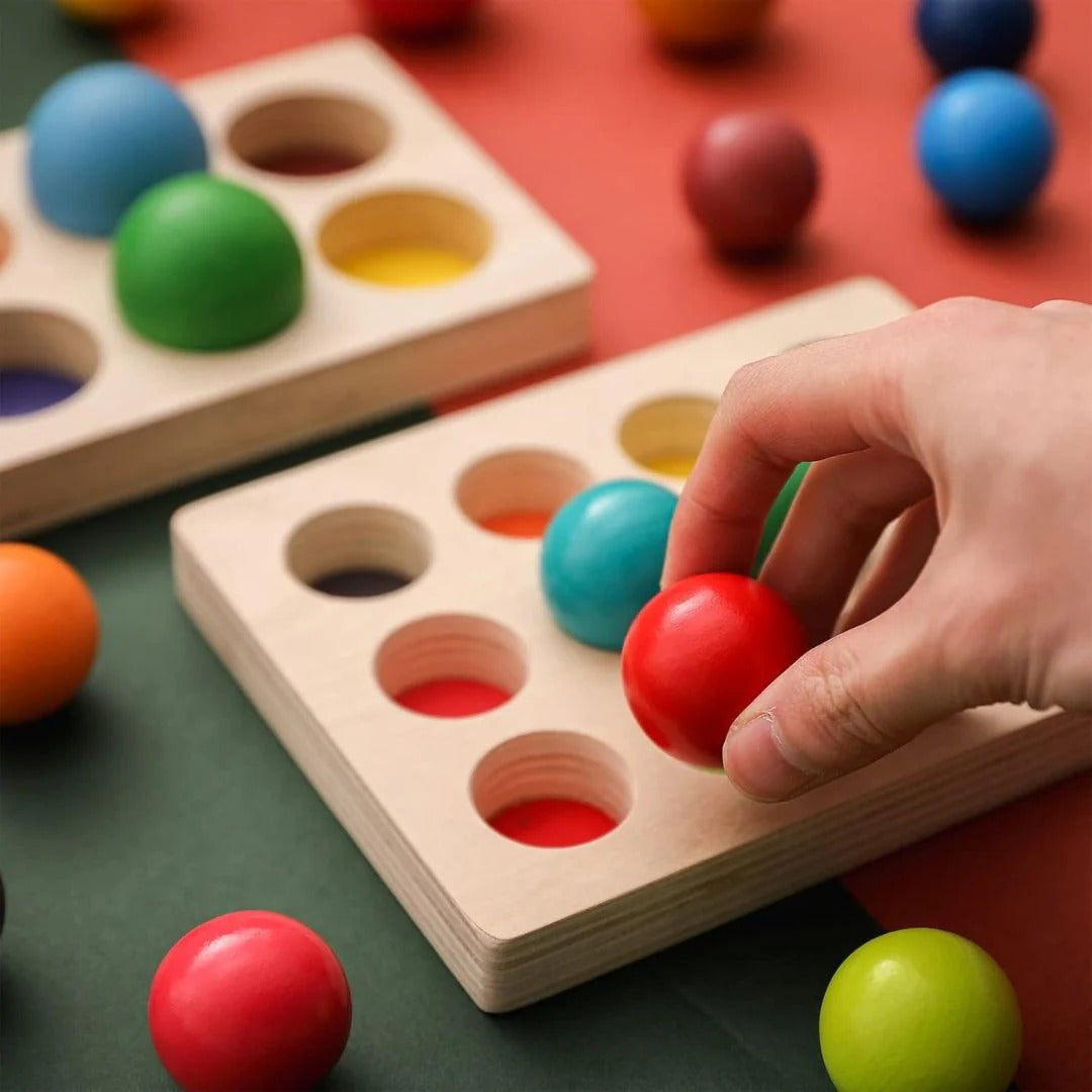 Sorting fun for little learners